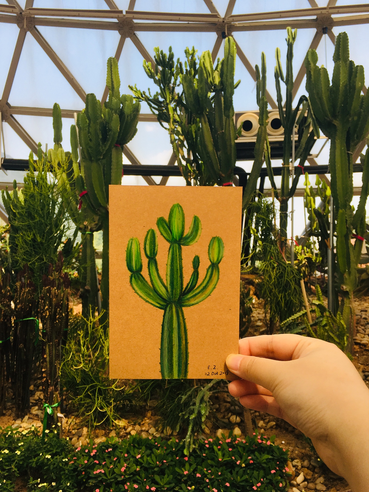 彩铅植物（图ZMTMwMzc0NjIw） - 绘画 - 站酷设计师艾丽娜原创素材 - 站酷ZCOOL