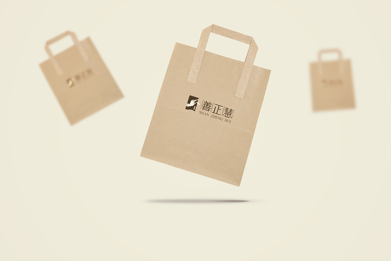 善正慧（图ZNzkzOTI3MjA=） - 品牌 - 站酷设计师维铮Guan原创素材 - 站酷ZCOOL