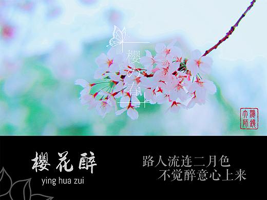 樱花树下遇见你（个人主页-ZMzQ4MzAyMzY=） - 风光摄影 - 站酷设计师摄影师橙子原创素材 - 站酷ZCOOL