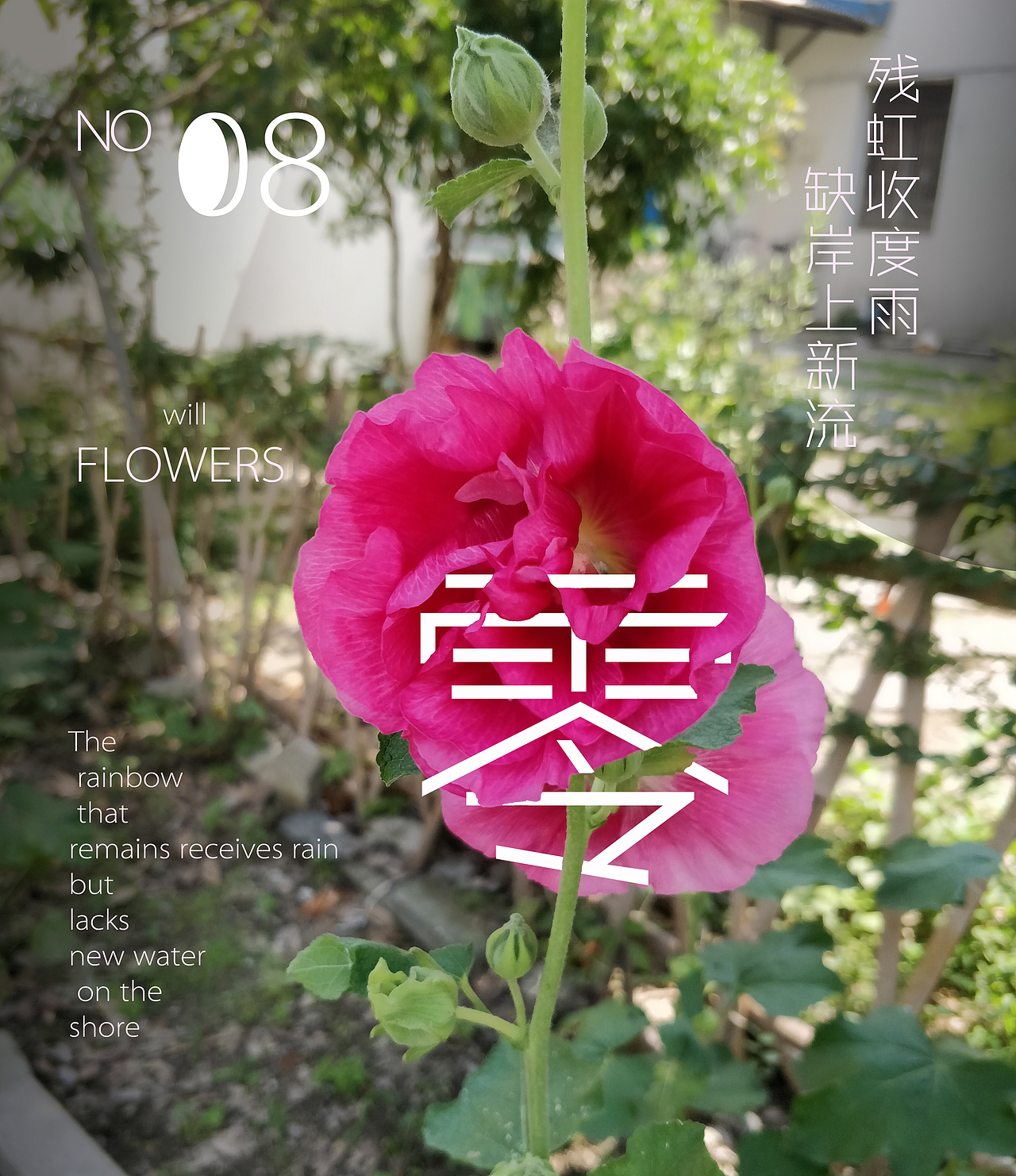 雨后却斜阳，杏花零落香（图ZMTE4MjQ5NTI4） - 产品摄影 - 站酷设计师胡虎虎胡红原创素材 - 站酷ZCOOL