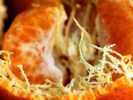 橘子和冰墩墩（个人主页-ZNTg4NjYwMjg=） - 其他摄影 - 站酷设计师Z130852556原创素材 - 站酷ZCOOL