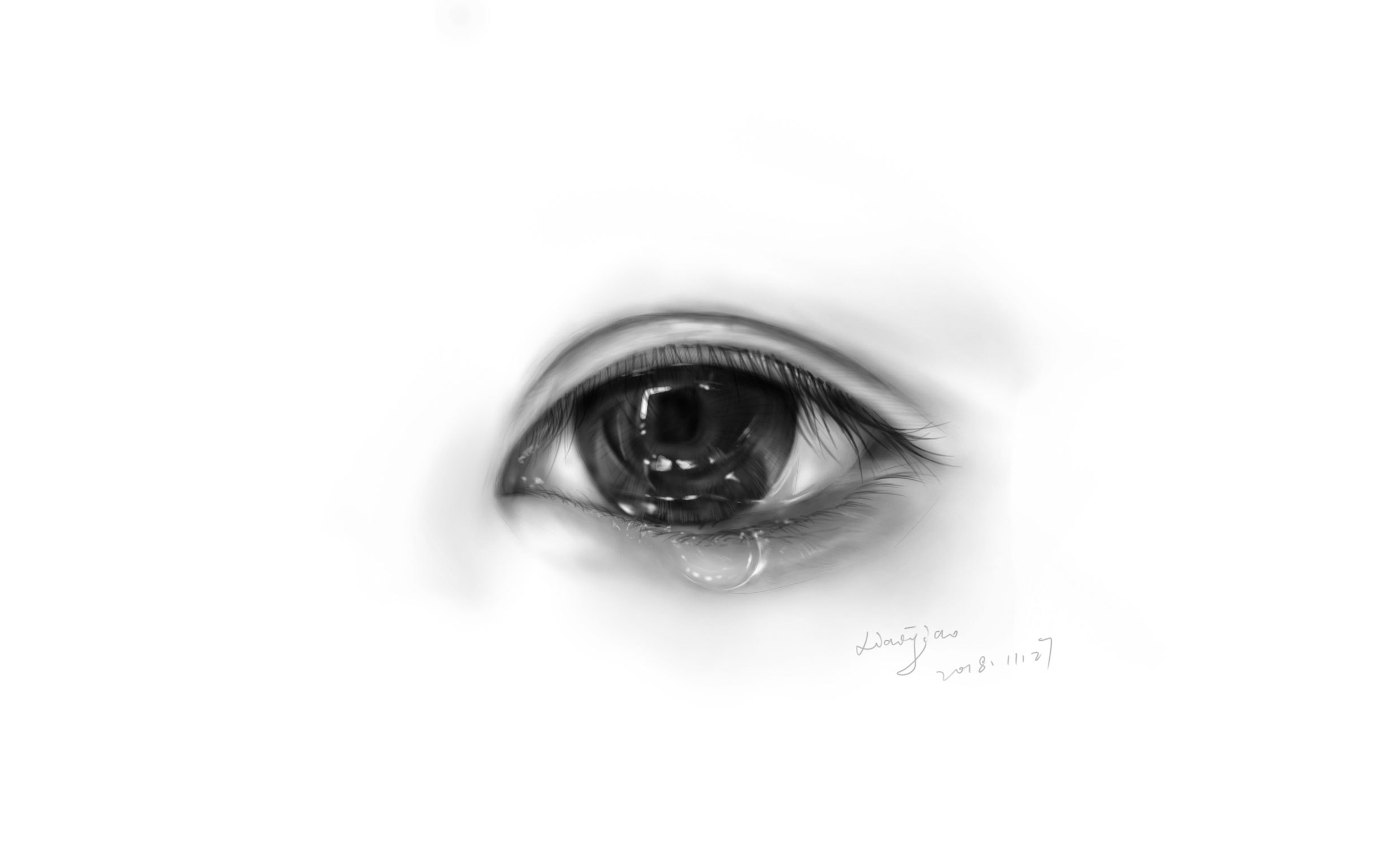 眼睛|纯艺术|素描|wangxj001216 - 原创作品 - 站酷 (zcool)