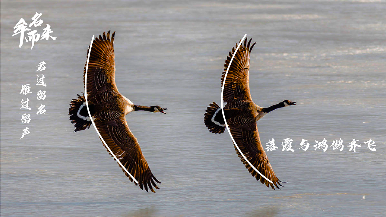 中牟全域旅游形象