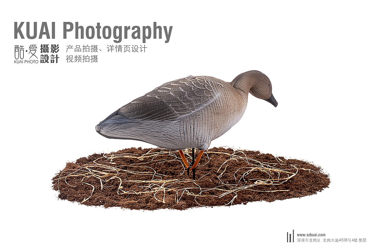 深圳产品拍摄 龙岗打猎产品图片拍摄 东莞鸭子大雁拍摄