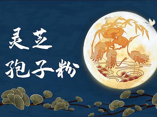灵芝孢子粉提案