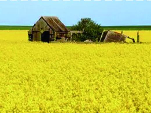 畫冊（個人主頁-ZMjQxMjM0Njg=） - 書籍/畫冊 - 站酷設計師喵了個卯原創(chuàng)素材 - 站酷ZCOOL