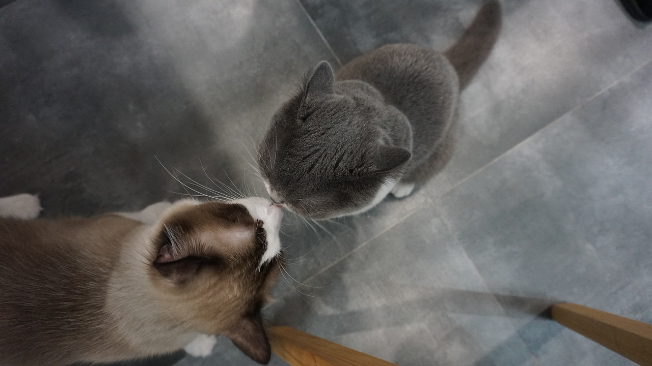 HelloGoodbye（图ZMTMwMzE1MTk2） - 风光摄影 - 站酷设计师时光尘埃原创素材 - 站酷ZCOOL