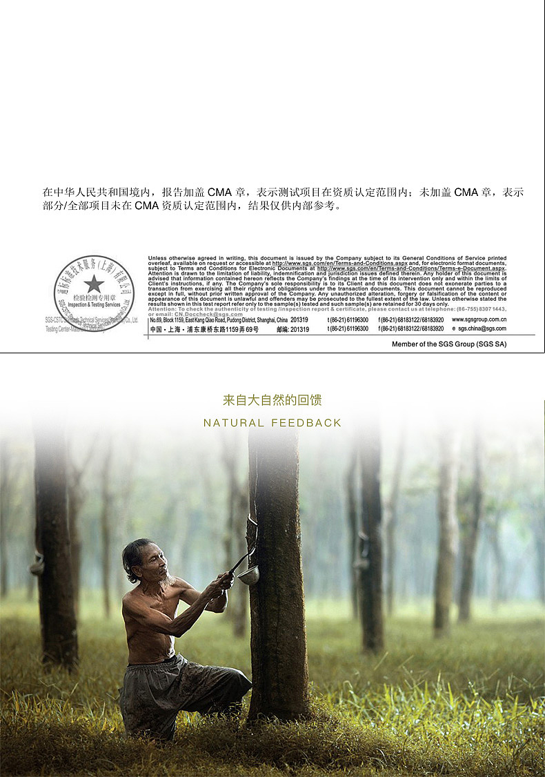 婷雅丽商城-乳胶枕详情页（图ZMjAwOTY0MzM2） - 电商 - 站酷设计师朝暮丨原创素材 - 站酷ZCOOL