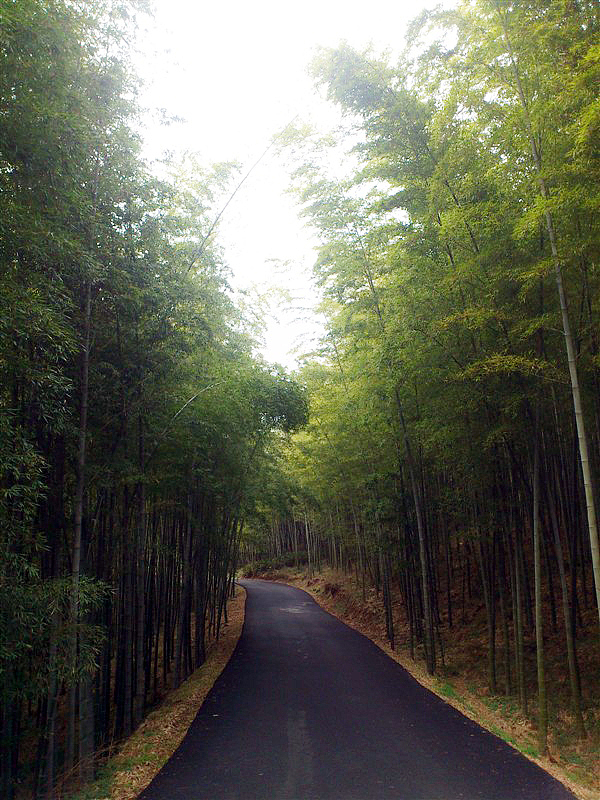 家乡美-----慢城的某一角（图ZMTY2Nzk0MjA=） - 风光摄影 - 站酷设计师zhangping_3636原创素材 - 站酷ZCOOL