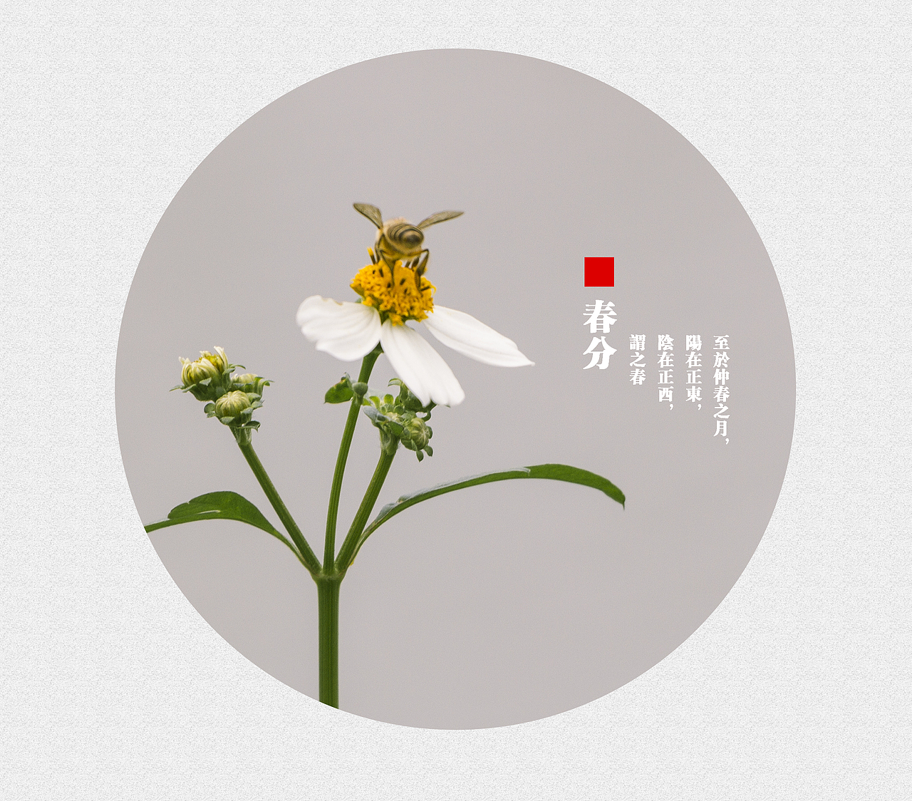 二十四节气（部分）（图ZNzAxMDA5NDg=） - 风光摄影 - 站酷设计师Carlchen原创素材 - 站酷ZCOOL