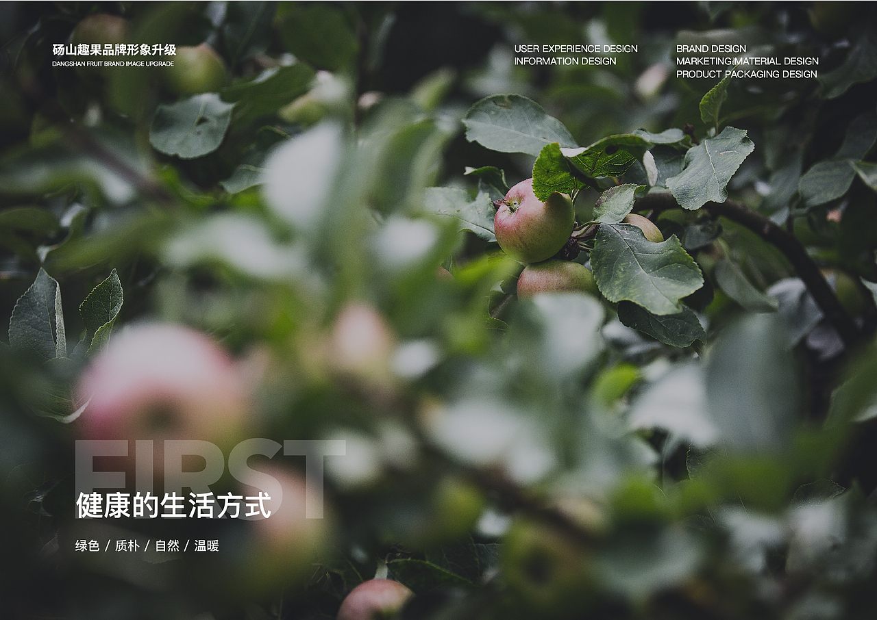 砀山趣果 l 酥梨品牌升级与包装设计