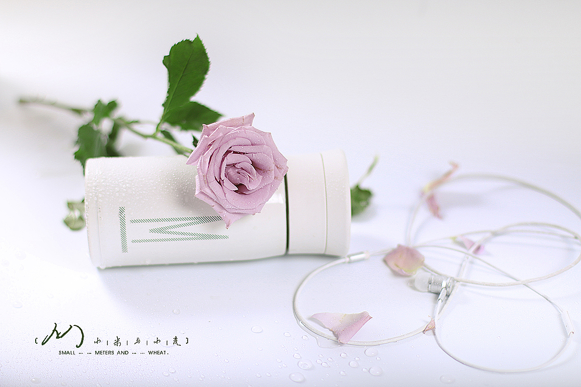 Flower-紫精灵（图ZOTc2MjE0NjA=） - 产品摄影 - 站酷设计师小米与小麦原创素材 - 站酷ZCOOL