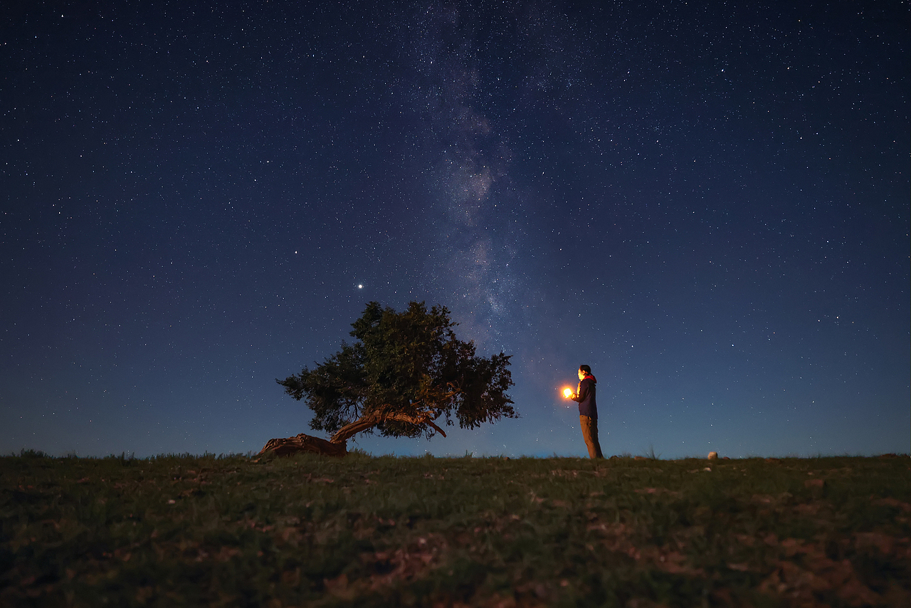 拍摄于内蒙-一颗孤独的树