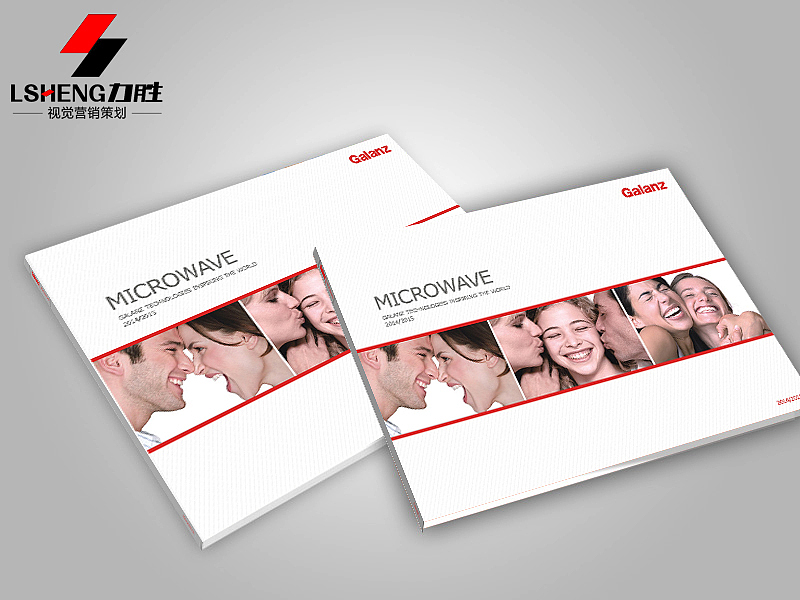 格兰仕-产品画册《力胜品牌设计》