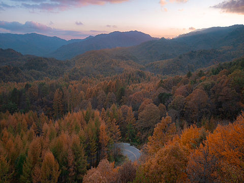 美到让“央视”评为秋季红叶🍁天花板的光雾山