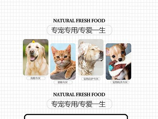 宠物用品