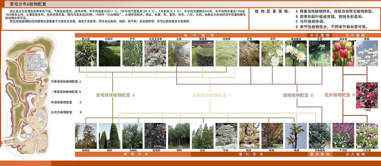 植物配置图