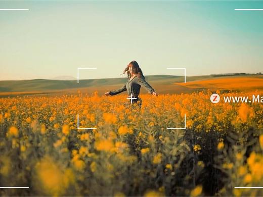 FCPX转场插件：12款相机胶卷取景器边框对焦定格过渡转场模板Camera Frame Transitions