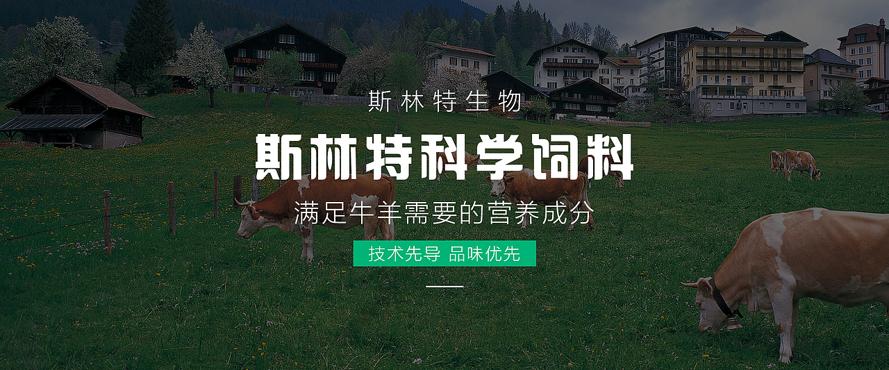 2020部分网站banner