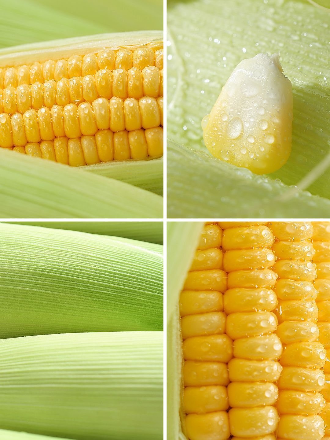 🌽玉米拍摄 I 这个配色绝绝子（图ZMzY1NjcyOTYw） - 产品摄影 - 站酷设计师刻影计划原创素材 - 站酷ZCOOL