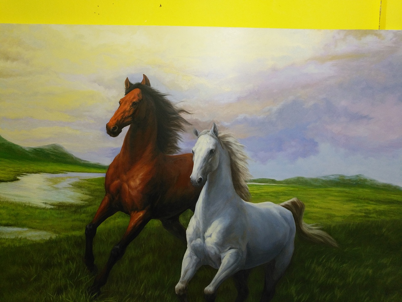 宠物画家刘诗洋