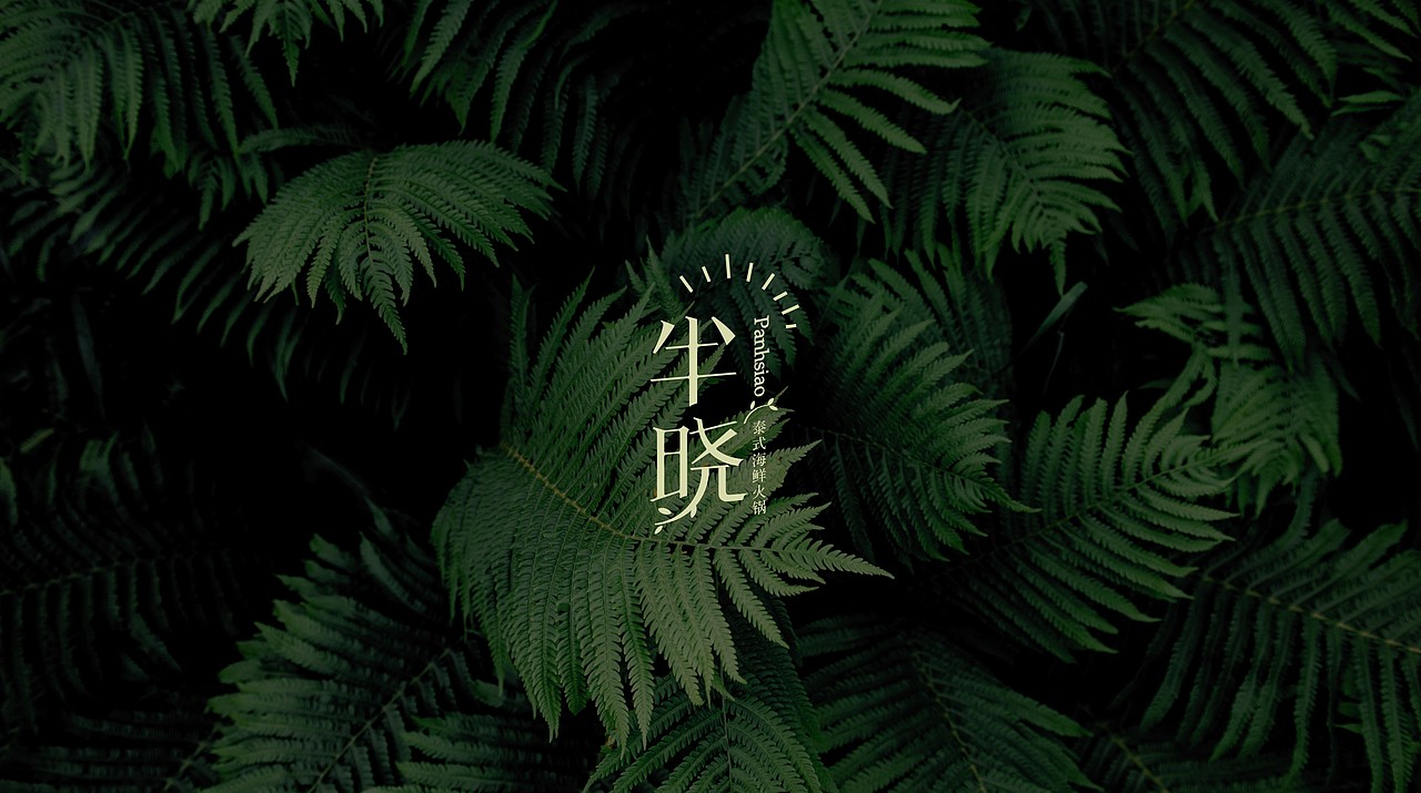 TORTOISE | 品牌集伍（图ZMTI3MzA3MjY4） - 品牌 - 站酷设计师反光品牌Studio原创素材 - 站酷ZCOOL