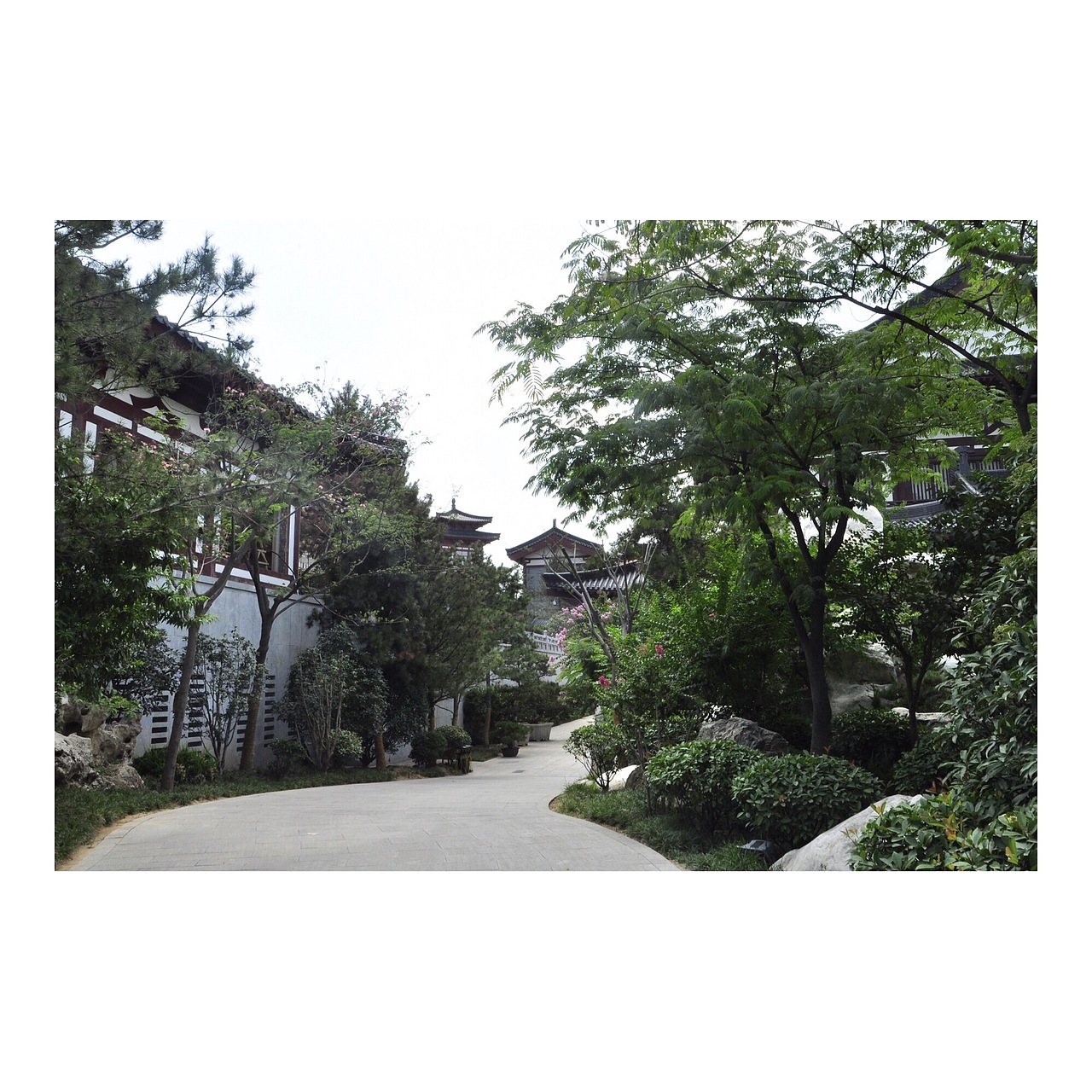 旅行×西安（图ZNTM5ODMwMTY=） - 风光摄影 - 站酷设计师锅包又又又又又又原创素材 - 站酷ZCOOL