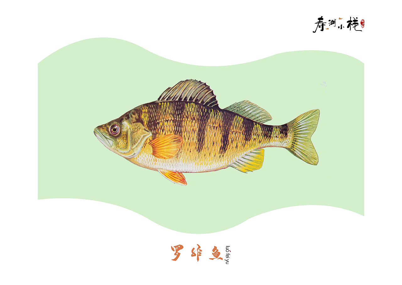 《鱼》（图ZMTYwNDE4ODc2） - 书籍/画册 - 站酷设计师ANEAL原创素材 - 站酷ZCOOL