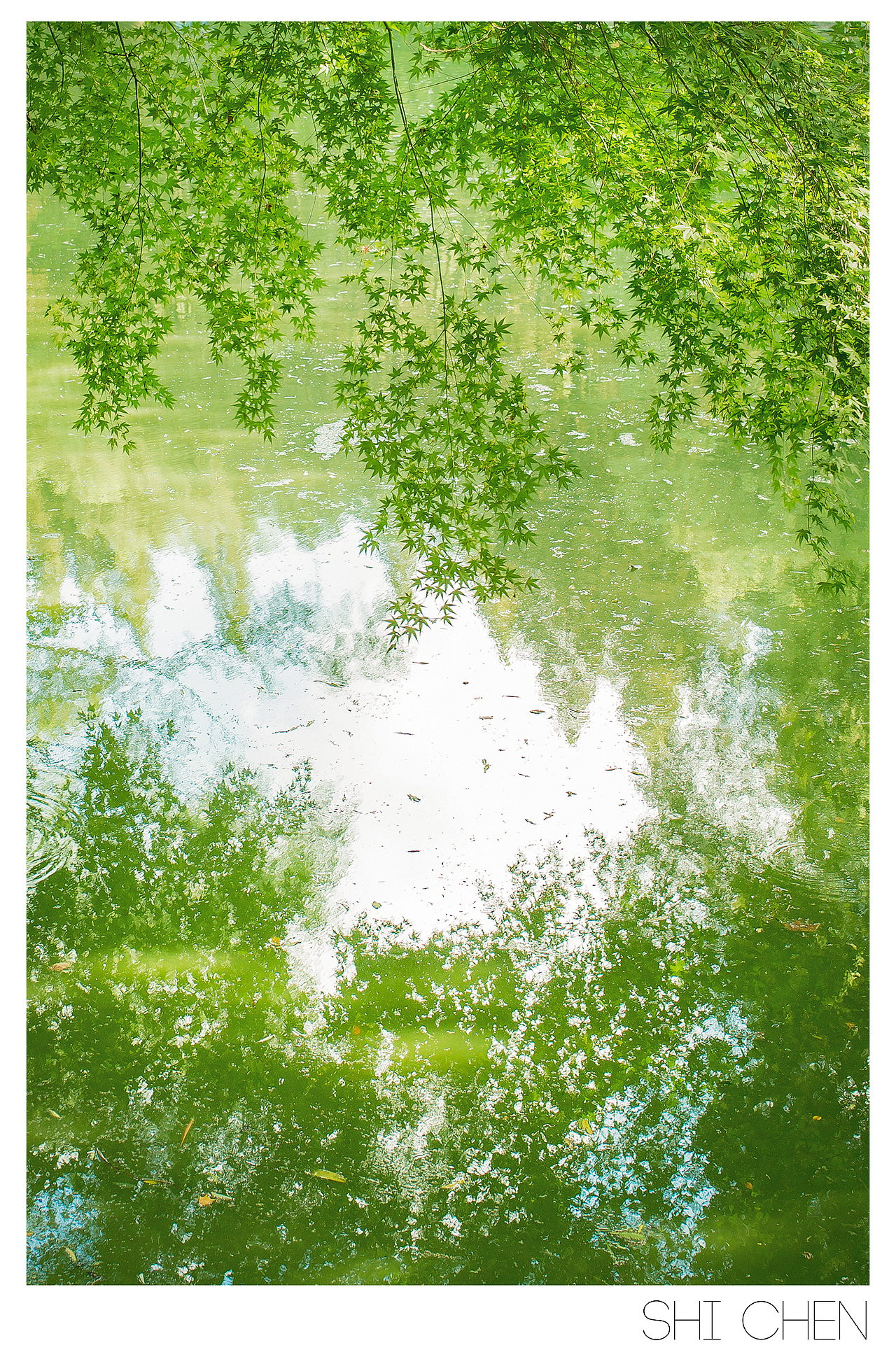 森林公园（图ZMTk4MzA1NDQ=） - 风光摄影 - 站酷设计师zhzxsc原创素材 - 站酷ZCOOL