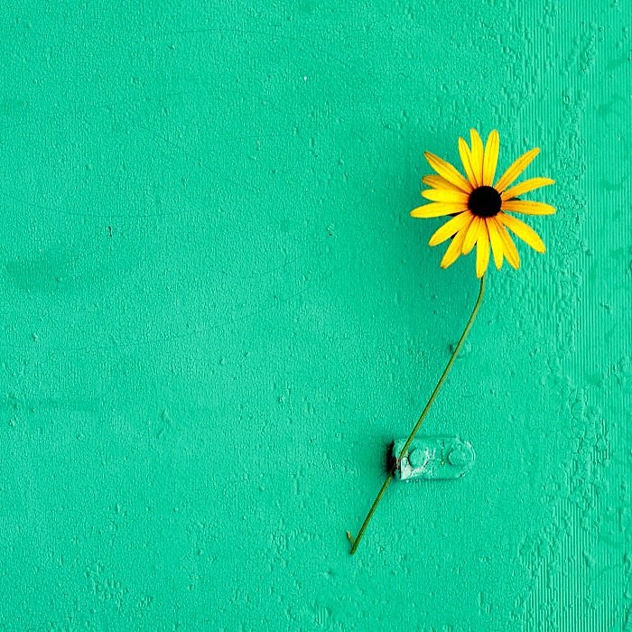 双面硬币视频拍摄剪辑