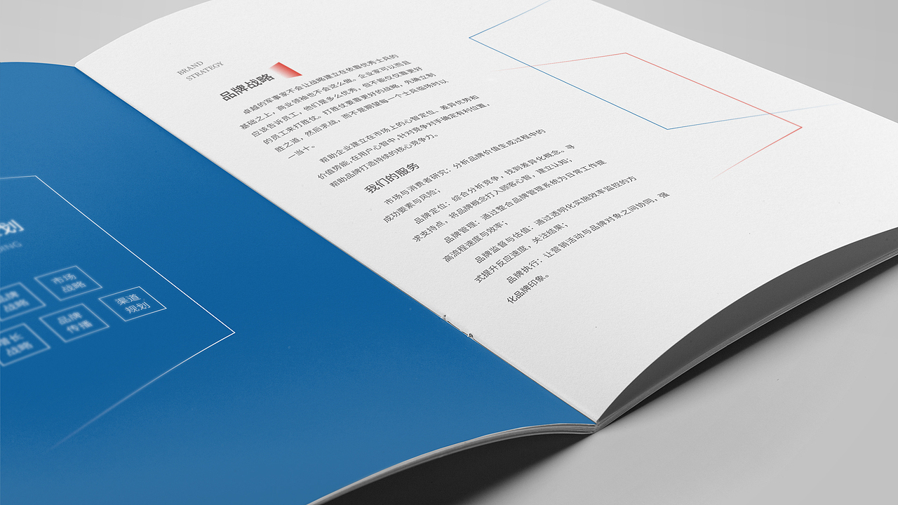 标志+画册+折页