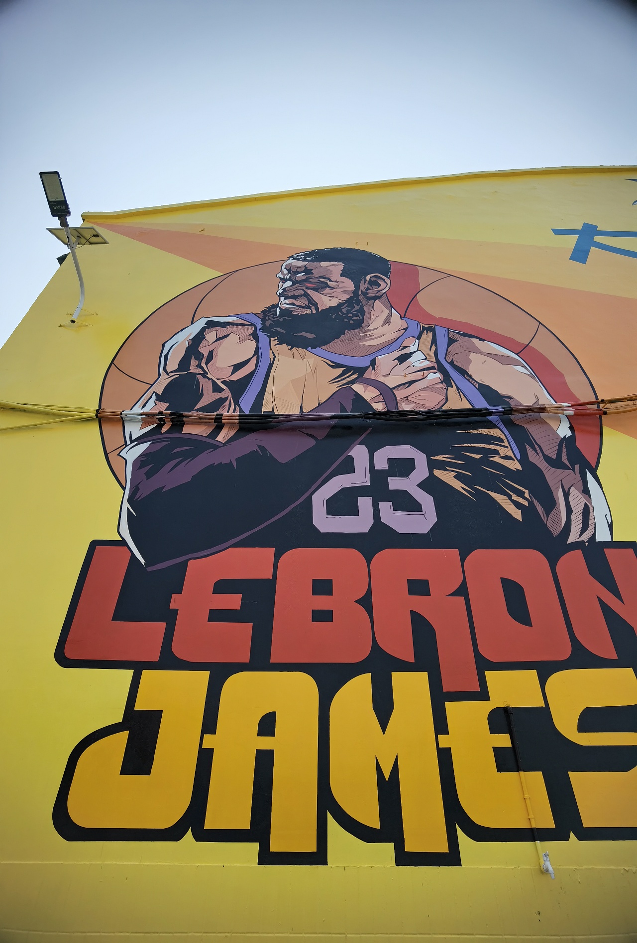 大鲨鱼篮球彩绘