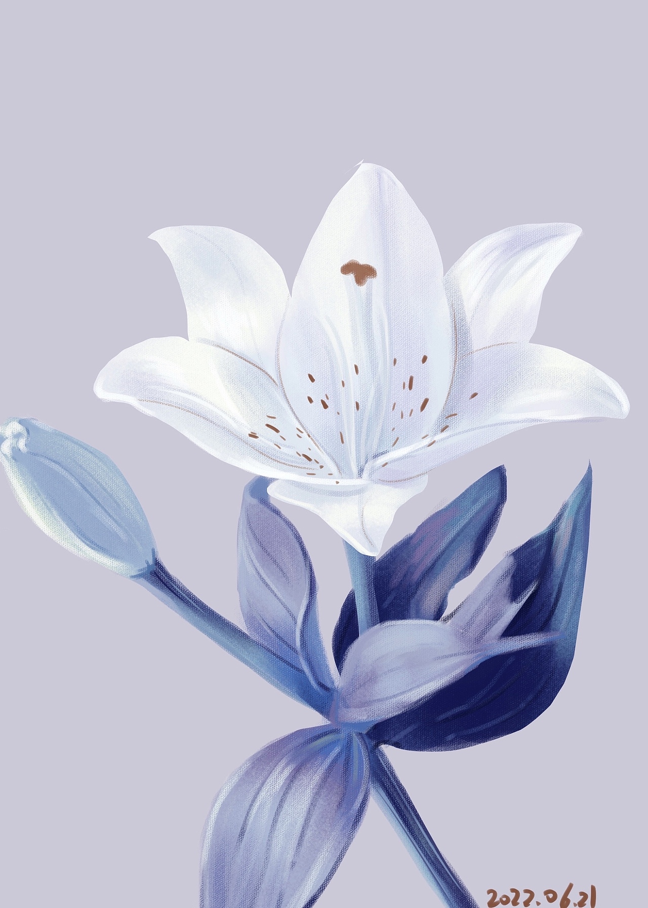 花系列练习（图ZMzA2MjA4NTk2） - 创作习作 - 站酷设计师卷卷儿R原创素材 - 站酷ZCOOL