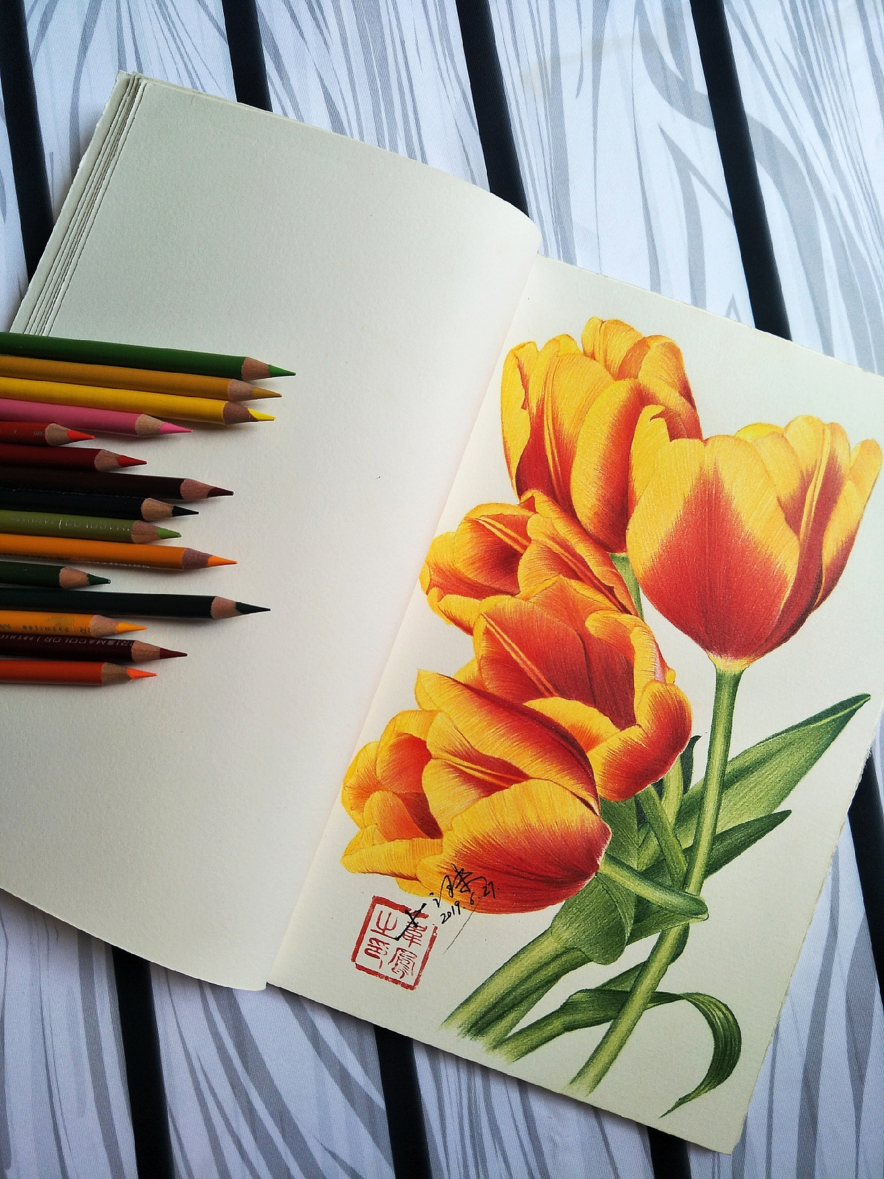 彩铅画一束金灿灿的郁金香