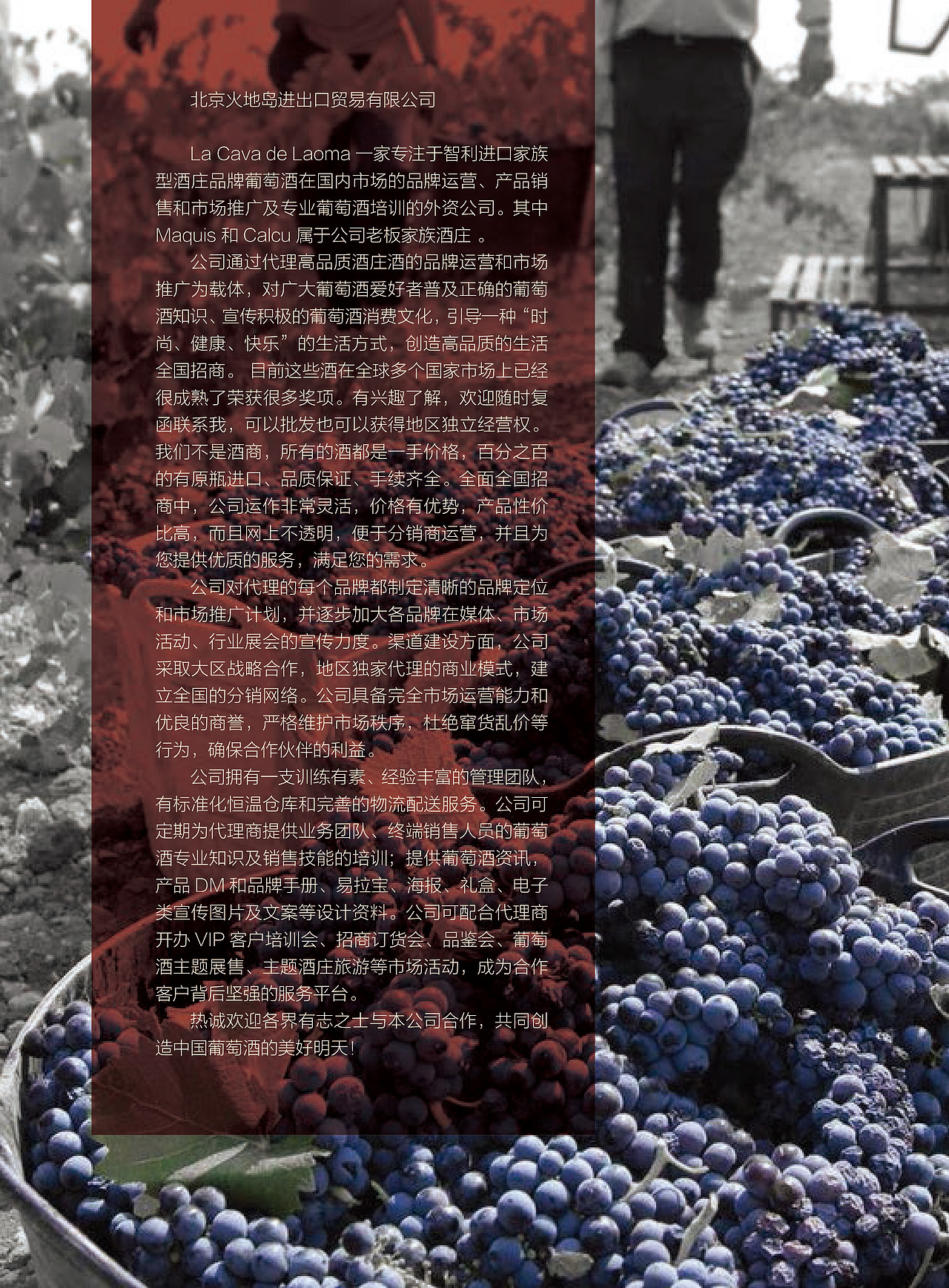 La Cava De Laoma智利葡萄酒册（图ZMjUwOTI1NTY4） - 书籍/画册 - 站酷设计师王斌蒂山原创素材 - 站酷ZCOOL
