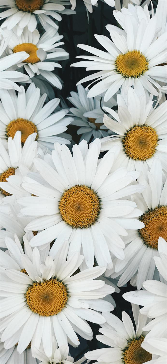 JERSEY卐的个人主页（背景预览） - 主页背景设置 - 站酷设计师JERSEY卐原创素材 - 站酷ZCOOL