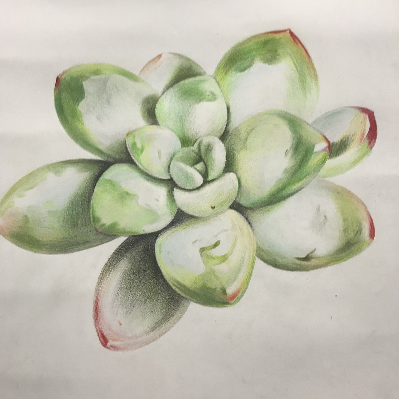 彩铅|纯艺术|绘画|云飞手绘_原创作品-站酷zcool