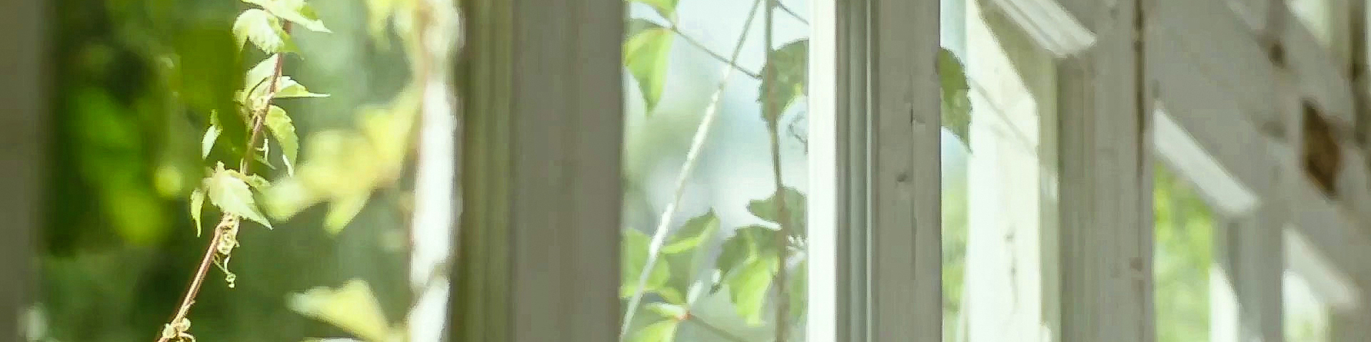 moimoimo的个人主页（封面预览） - 主页封面设置 - 站酷设计师moimoimo原创素材 - 站酷ZCOOL