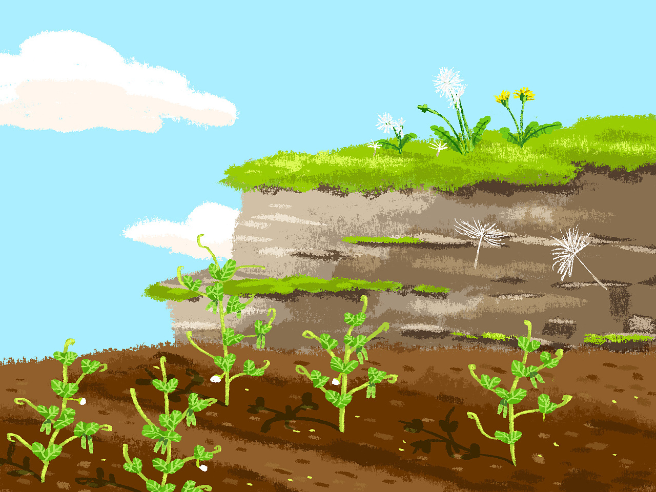 儿童插画小绘本种子