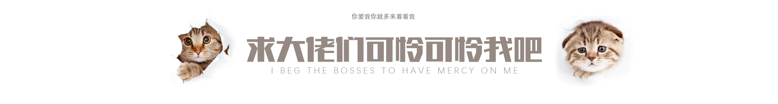 吴财辉的个人主页（封面预览） - 主页封面设置 - 站酷设计师吴财辉原创素材 - 站酷ZCOOL