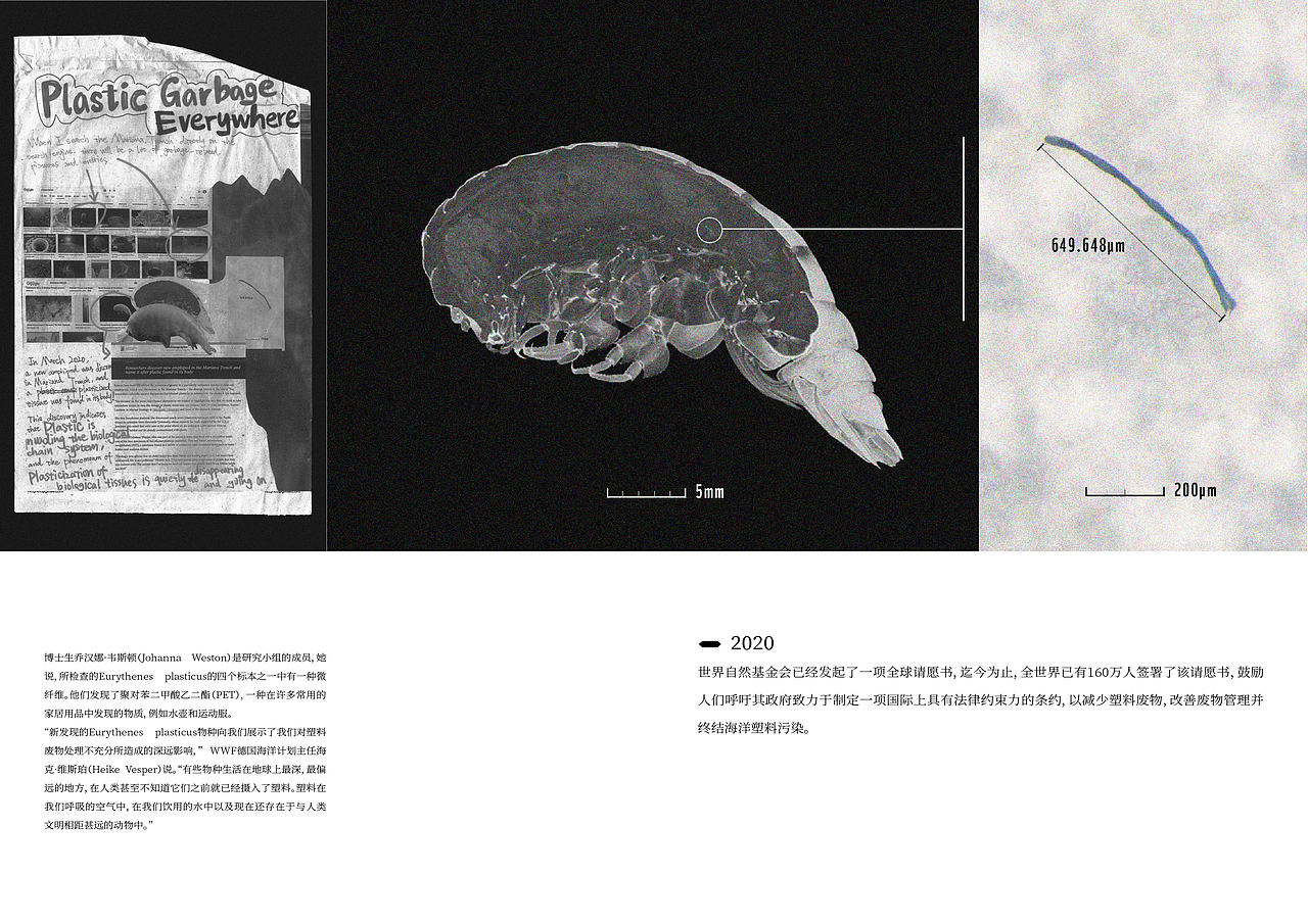 【毕业设计】实验性文本 「超然」存在于我体内（图ZMjU2MjkxODA0） - 书籍/画册 - 站酷设计师Hikariii原创素材 - 站酷ZCOOL