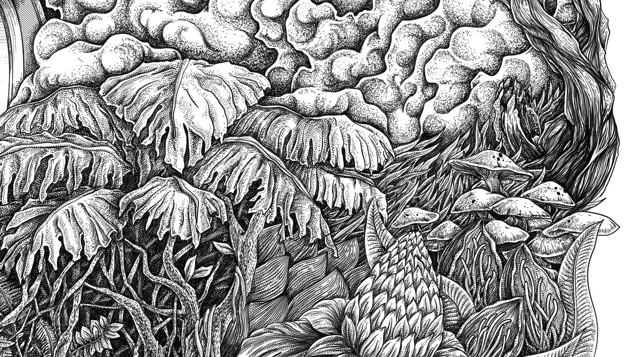 七七八八 万物幻想 插画一张（图ZNDg2MTk4ODQ=） - 商业插画 - 站酷设计师世界别为我担心原创素材 - 站酷ZCOOL