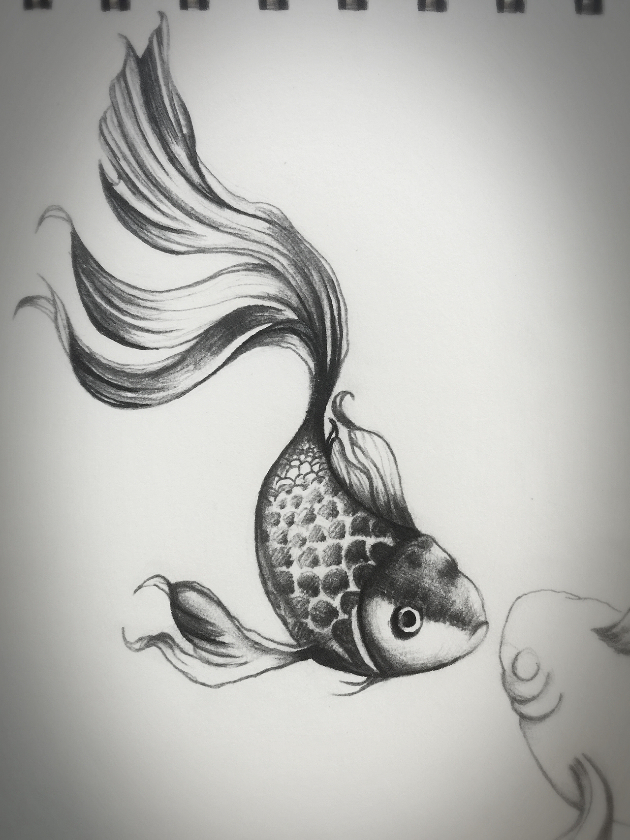 Hand-painted works（图ZNjM5NDUxMTY=） - 创作习作 - 站酷设计师刘小燕子原创素材 - 站酷ZCOOL