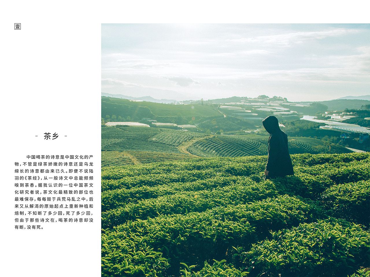 茶道（图ZMTE0Nzg2MDAw） - 书籍/画册 - 站酷设计师小魔头666原创素材 - 站酷ZCOOL