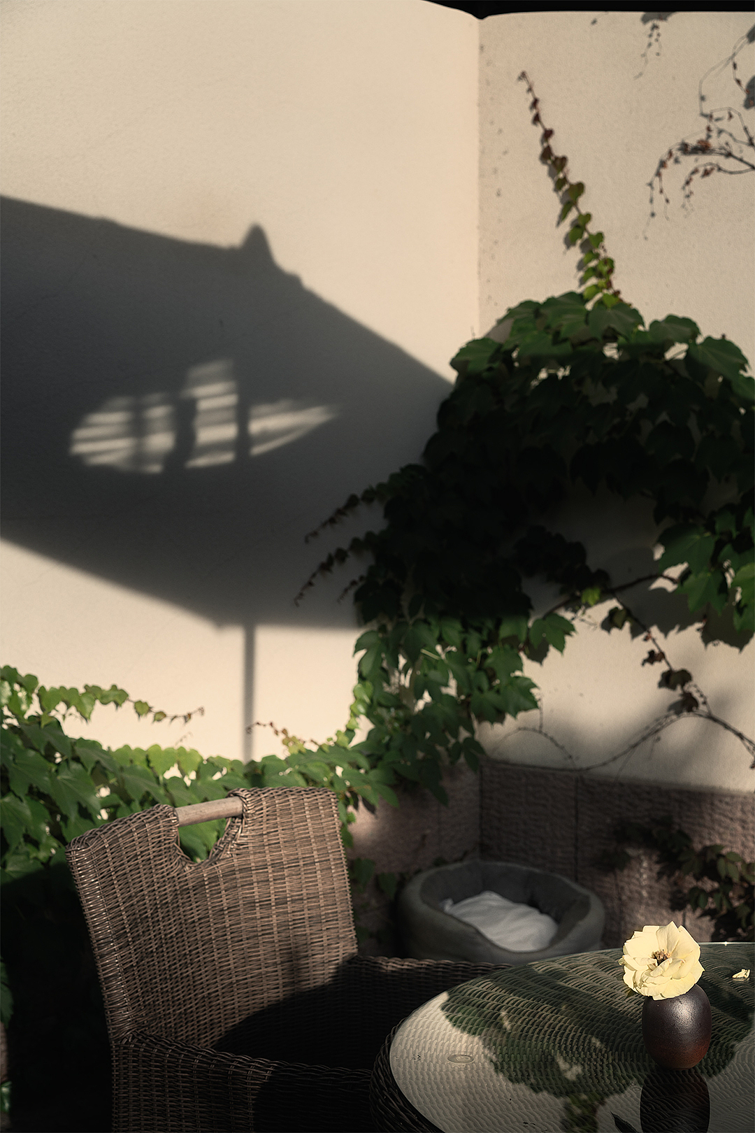 杭州酒店外景项目拍摄 - 雷迪森仓乾居