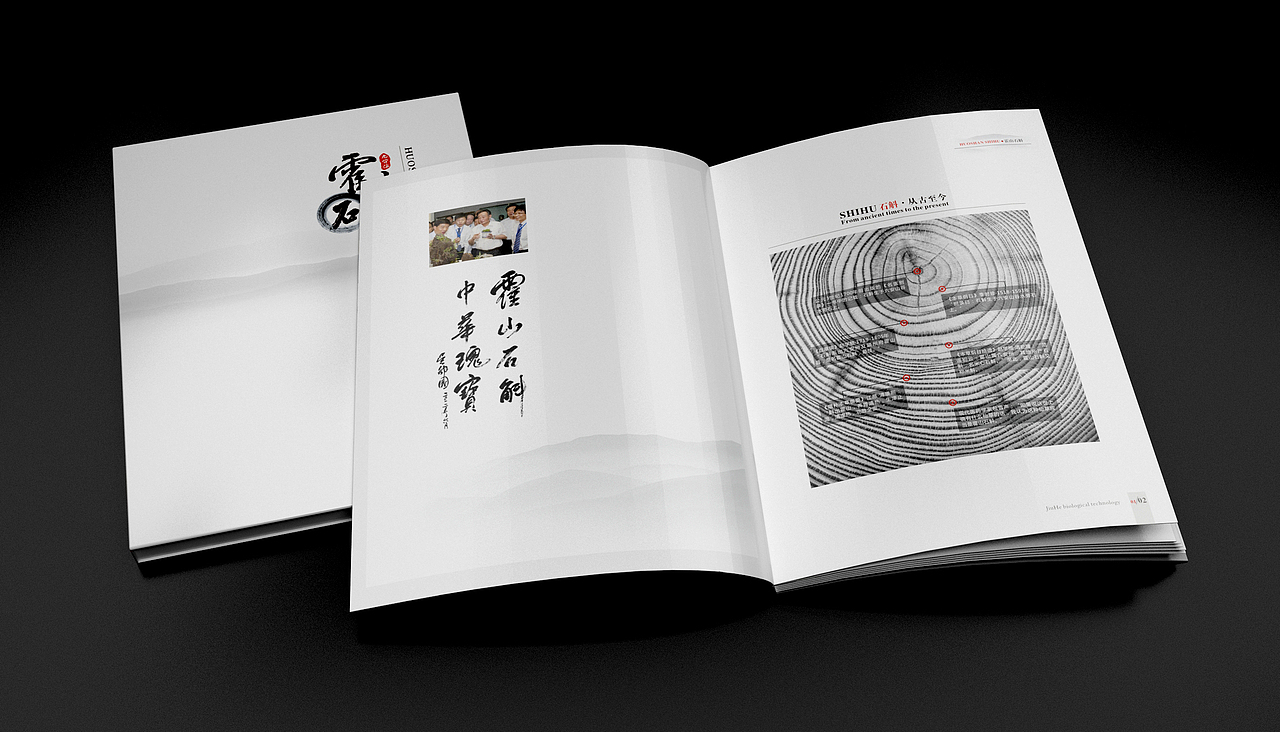 中国风画册（图ZNDc4MDI2MjA=） - 书籍/画册 - 站酷设计师白露的白原创素材 - 站酷ZCOOL