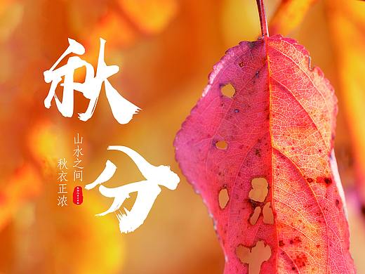 秋分（个人主页-ZMzk3NzM3MjQ=） - 海报 - 站酷设计师壹易原创素材 - 站酷ZCOOL
