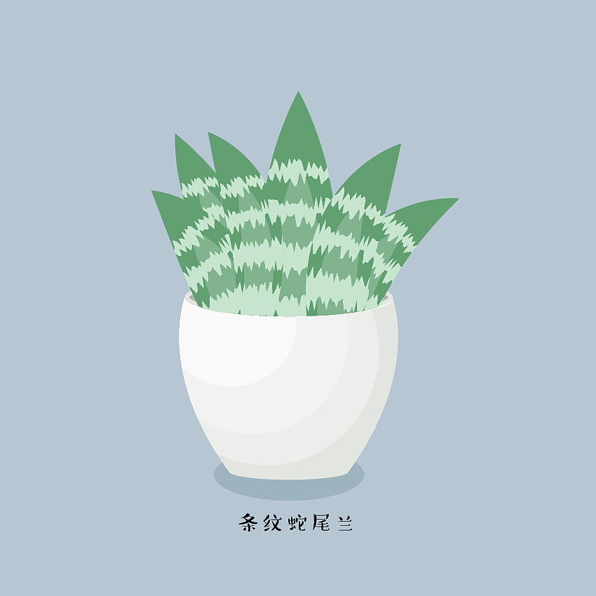 AI创建多肉植物（图ZMTIwNjUxMjA0） - 创作习作 - 站酷设计师SENNICHEN原创素材 - 站酷ZCOOL