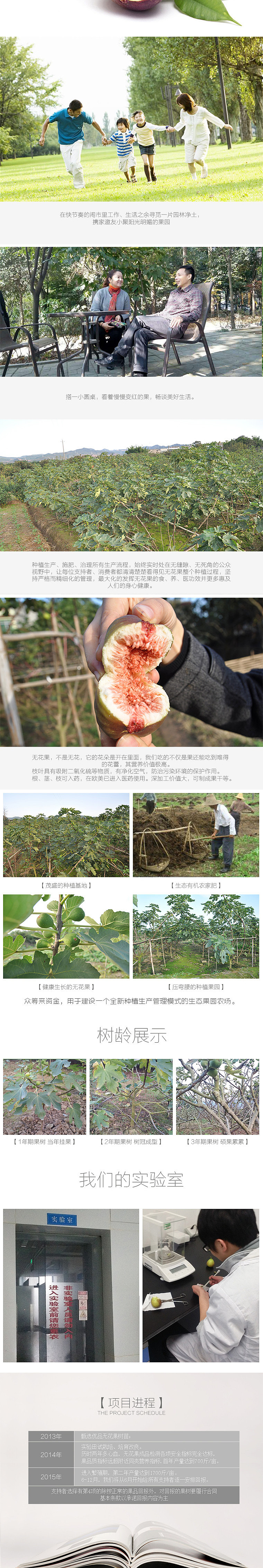 无花果众筹页面（图ZNDg0MDM5ODA=） - 电商 - 站酷设计师enenaiai原创素材 - 站酷ZCOOL
