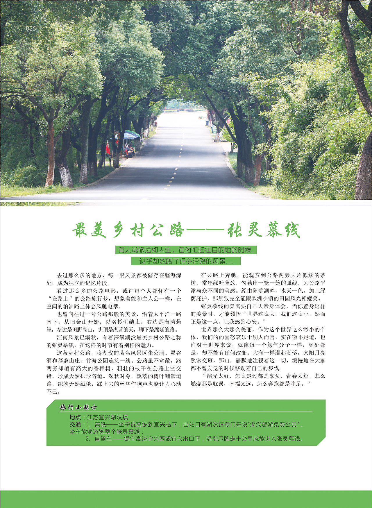 025 最美乡村公路——张灵慕线